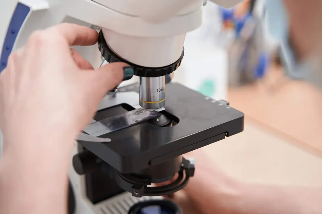 Glass with material for research on microscope 2022 03 07 22 25 16 utc
