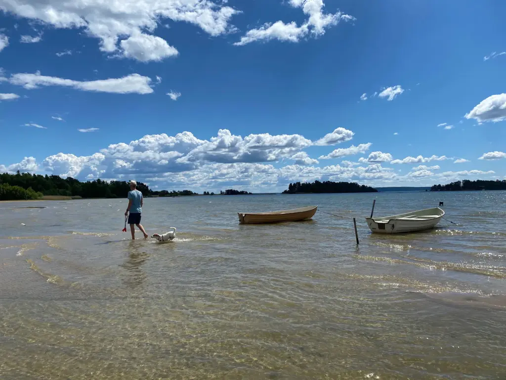 Zomer zweden