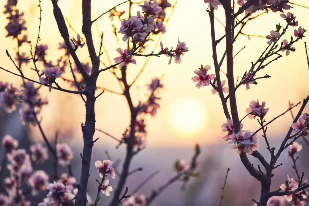3f8cf32 w1272 springinnature202502